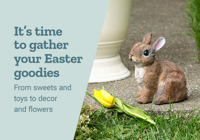 It's time to gather your Easter goodies. From sweets and toys to decor and flowers.